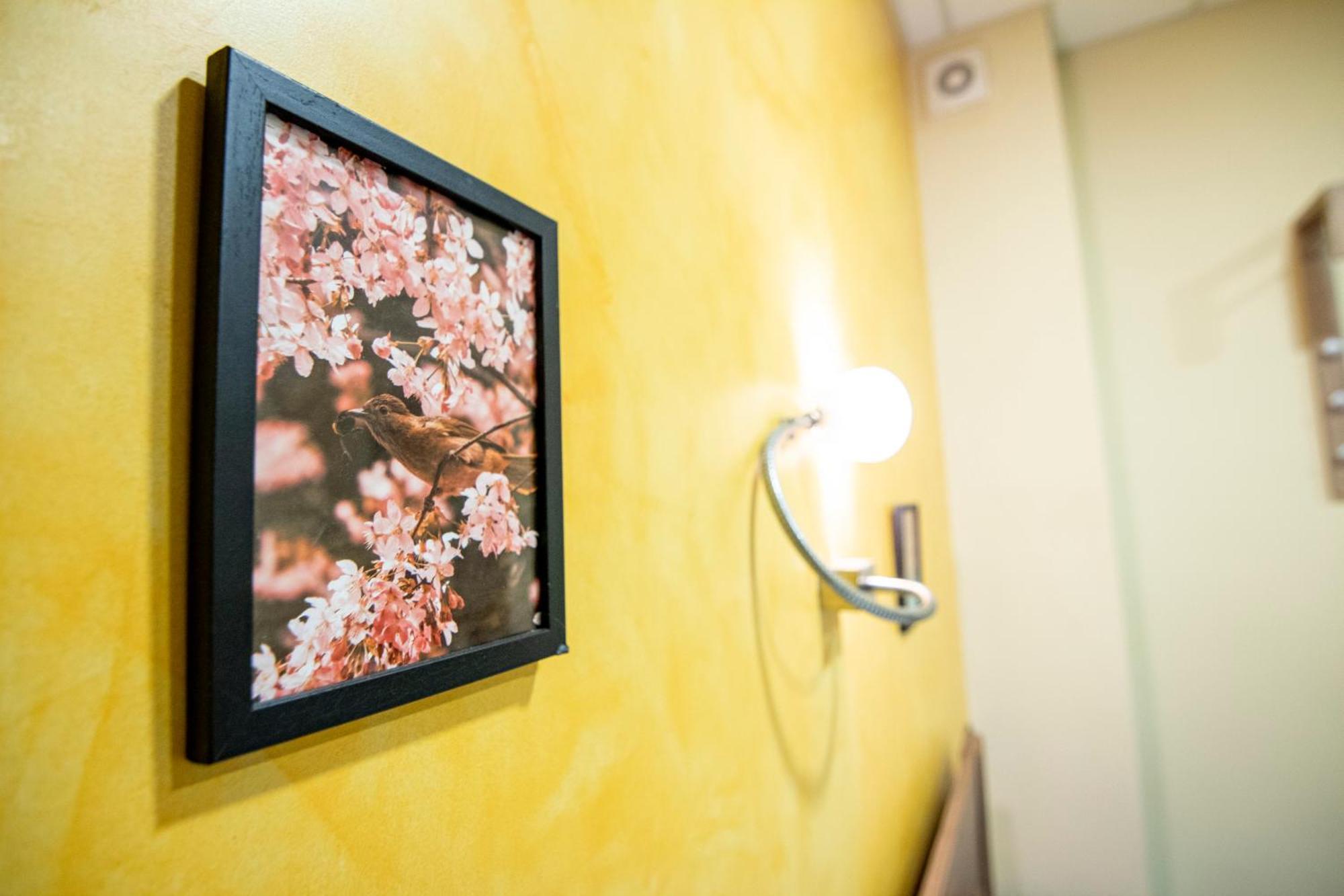 Apartment Comfort & Cozy In Center Sofia